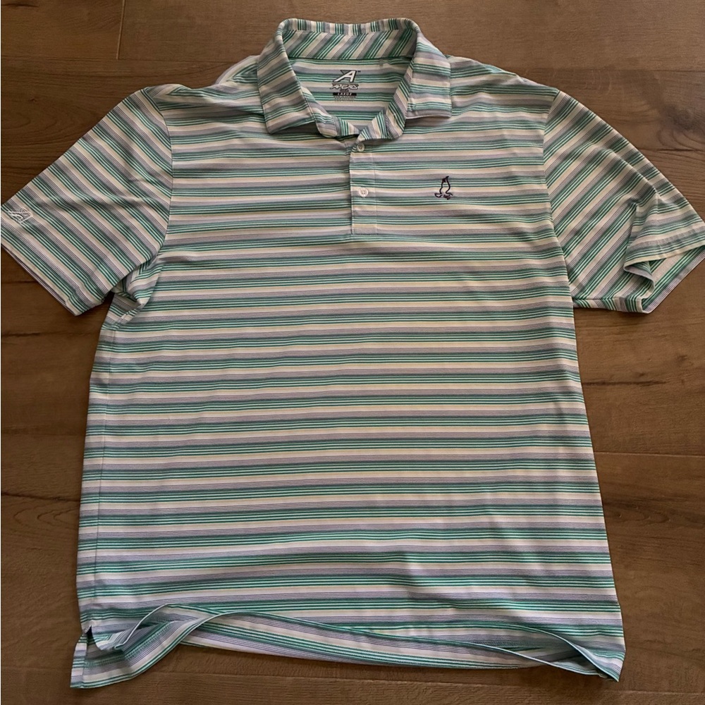 Head Men's Polo Shirt in Green and White Stripes